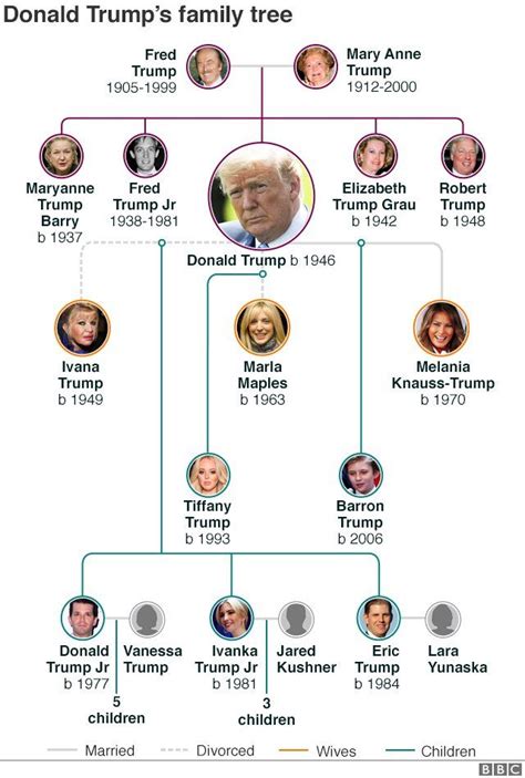 Donald Trump family tree: How many children and grandchildren .